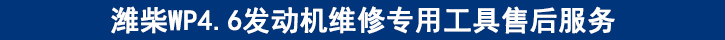 濰柴WP4.6發(fā)動機維修專用工具售后服務(wù).jpg