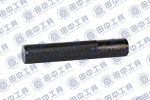 TZ103701 氣門(mén)導(dǎo)管沖棒.jpg